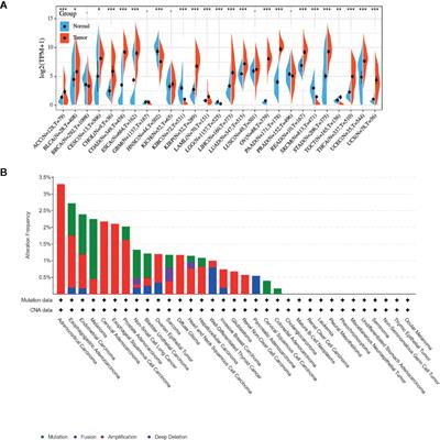 An Integrative Pan-Cancer Analysis Revealing LCN2 as an Oncogenic Immune Protein in Tumor Microenvironment